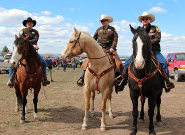 Creston-Auction-4-2-2016-037_edited-1-min